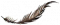 轻盈片羽.png