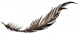轻盈片羽.png