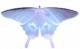 燕尾蝶·幻紫.png