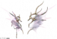 服饰-聆颂.png
