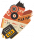 虹光·拼贴.png