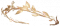 服饰-月桂发冠.png