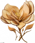 卡利花木雕.png