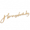 生日字牌·金星.png