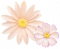 格桑花.png