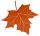 秋枫落叶.png
