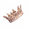 服饰-朝晖王冠.png