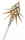永恒圣音.png