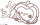 太阳果：庆祝.png