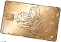 破损的卡利金卡.png