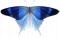 燕尾蝶·深蓝.png