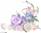 花涧星漩.png