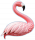 虹光·火烈鸟.png