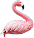 虹光·火烈鸟.png