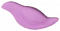小鸟饼干.png
