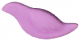 小鸟饼干.png
