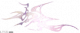 服饰-幽紫幻境.png