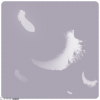 特效·绒绒白羽.png