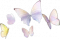 服饰-晴雨行迹.png