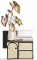 我的桌饰.png