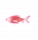 虹色游鱼.png