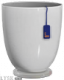 黑匣茶杯.png