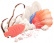 海底漫游.png