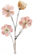 曼调·干花.png