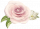缎光花朵.png