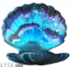 蓝眼泪贝壳.png