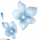 服饰-盈花眷意.png