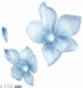 服饰-盈花眷意.png