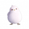 服饰-啾啾小鸟.png