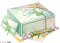 共踏春景礼.png