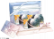 双影见证礼·三.png
