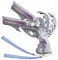 逐月者.png