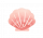 小贝壳.png