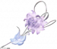烂漫花事.png