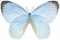 粉蝶·淡青.png