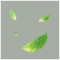 特效·春叶.png