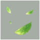 特效·春叶.png