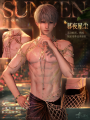 渴慕与浮沉-暮夜星尘.png