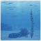 布景·绮丽海底.png
