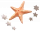 海底星.png