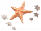 海底星.png
