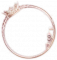 晴日冠冕.png