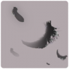特效·黑翎.png
