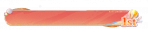 致爱·纷彩乐游.png