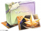醇饴馈礼·三.png