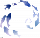 环鲸旧梦.png